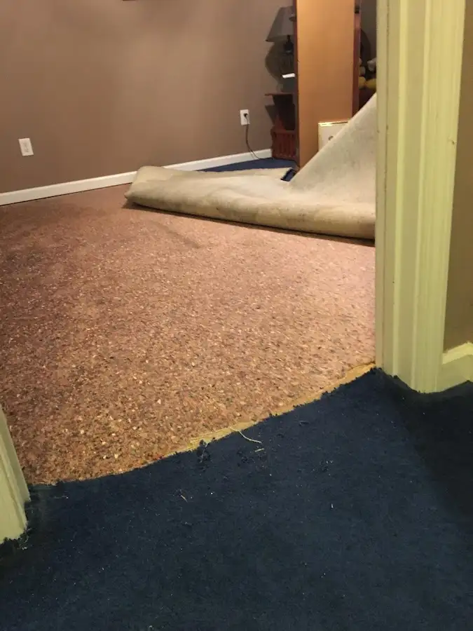 Carpet pad removal revealing water damage during Drying & Dehumidification in Forest