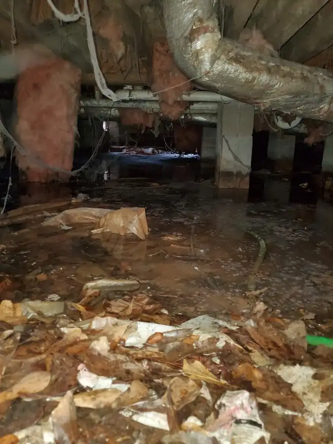 Crawl space flood assessment for Commercial Water Damage Restoration in Forest