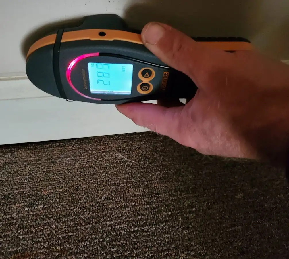 Moisture detection at baseboard during Storm Damage Restoration in Forest